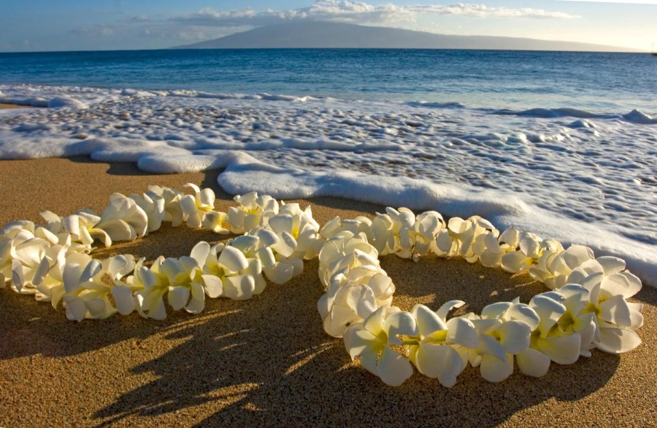 Diamond Head Views Retreat With Free Parking & Near Waikiki Beach! Honolulu Exterior foto